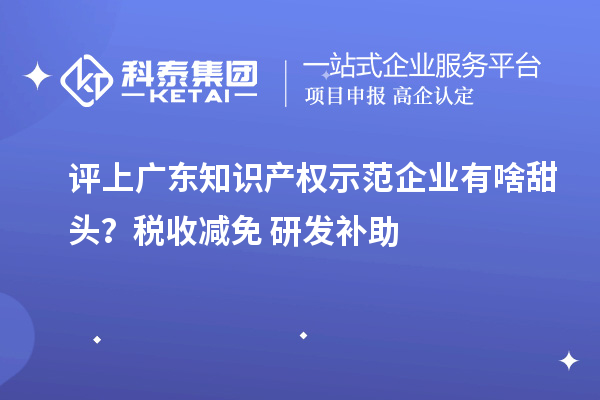 評上廣東知識產權示范企業有啥甜頭？稅收減免+研發補助