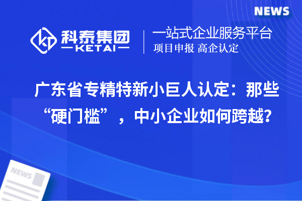 廣東省專精特新小巨人認定：那些“硬門檻”，中小企業如何跨越？