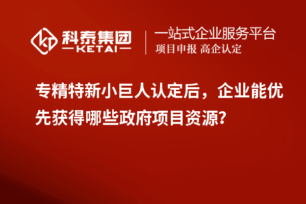 專精特新小巨人認定后，企業能優先獲得哪些政府項目資源？
