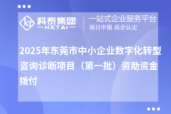 2025年東莞市中小企業數字化轉型咨詢診斷項目（第一批）資助資金撥付