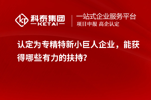 認定為專精特新小巨人企業，能獲得哪些有力的扶持？