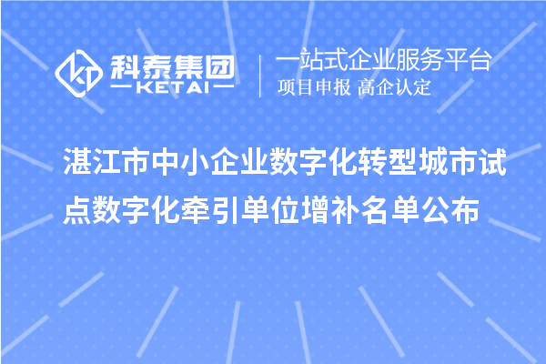 湛江市中小企業數字化轉型城市試點數字化牽引單位增補名單公布