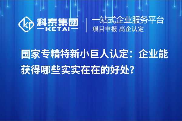 國家專精特新小巨人認定：企業能獲得哪些實實在在的好處？