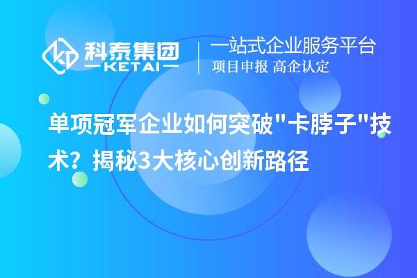 單項冠軍企業如何突破"卡脖子"技術？揭秘3大核心創新路徑