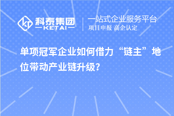 單項冠軍企業如何借力“鏈主”地位帶動產業鏈升級？