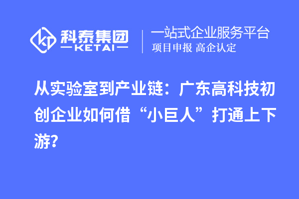 從實驗室到產業鏈：廣東高科技初創企業如何借“小巨人”打通上下游？