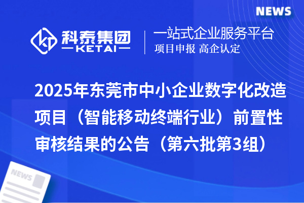 2025年東莞市中小企業數字化改造項目（智能移動終端行業）前置性審核結果的公告（第六批第3組）