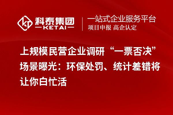 上規模民營企業調研“一票否決”場景曝光：環保處罰、統計差錯將讓你白忙活