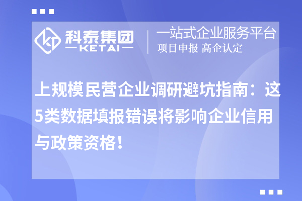 上規模民營企業調研避坑指南：這5類數據填報錯誤將影響企業信用與政策資格！