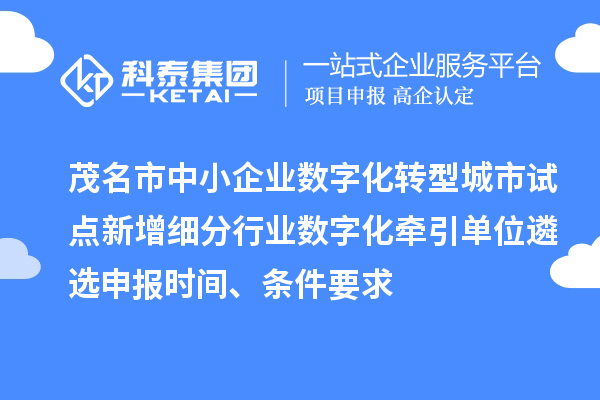 茂名市中小企業數字化轉型城市試點新增細分行業數字化牽引單位遴選申報時間、條件要求