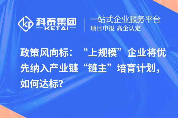 政策風向標：“上規?！逼髽I將優先納入產業鏈“鏈主”培育計劃，如何達標？
