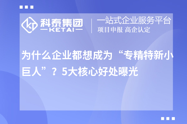 為什么企業都想成為“專精特新小巨人”？5大核心好處曝光