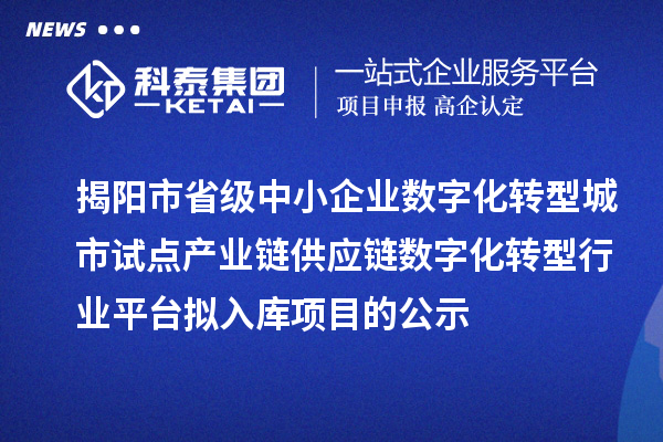 揭陽市省級中小企業數字化轉型城市試點產業鏈供應鏈數字化轉型行業平臺擬入庫項目的公示