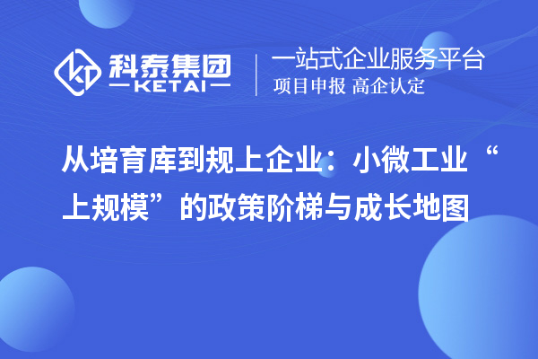 從培育庫到規上企業：小微工業“上規?！钡恼唠A梯與成長地圖
