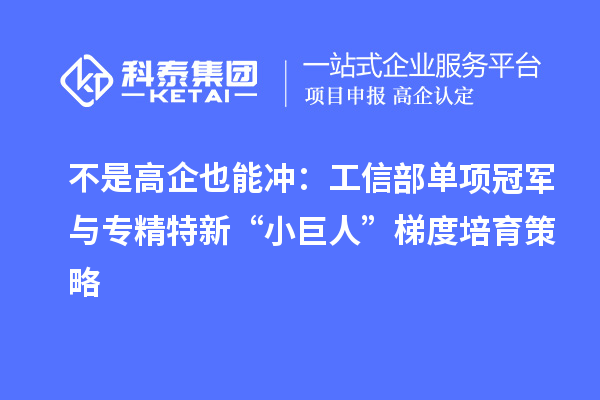 不是高企也能沖:工信部單項冠軍與專精特新“小巨人”梯度培育策略